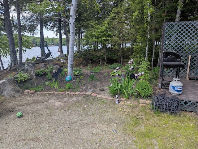 114 E Shore Rd, Benedicta Twp, ME 04733 - view of yard with a water view