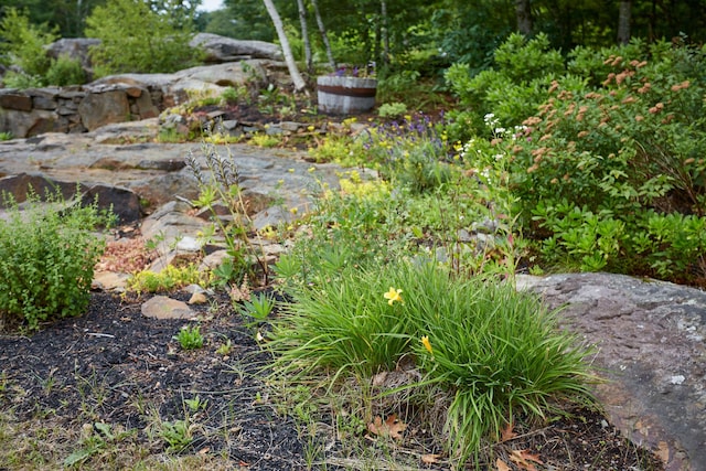 20 Sparrow Ln, York, ME 03909 - photo 33