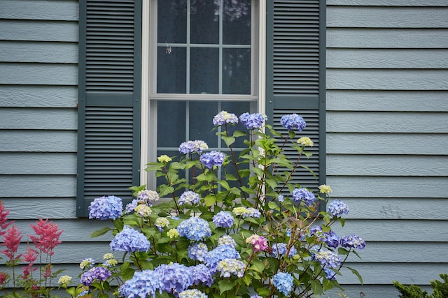 20 Sparrow Ln, York, ME 03909 - photo 52