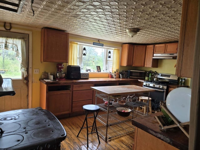 471 Chandler Hill Rd, Ripley, ME 04930 - kitchen featuring under cabinet range hood, appliances with stainless steel finishes, plenty of natural light, light wood finished floors, and an ornate ceiling