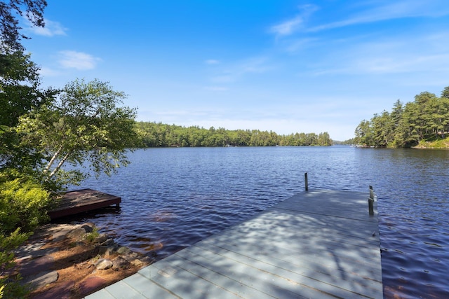 48 Green Bay Rd, Newfield, ME 04095 - dock with a water view and a view of trees