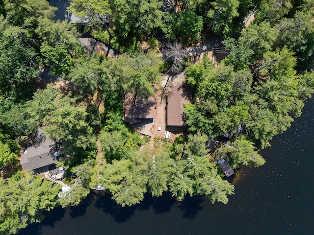 48 Green Bay Rd, Newfield, ME 04095 - bird's eye view of a nearby body of water
