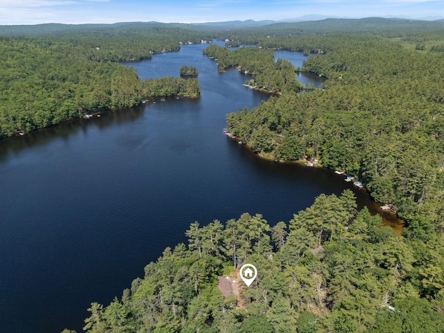 48 Green Bay Rd, Newfield, ME 04095 - aerial view of property's location featuring a forest and a water and mountain view