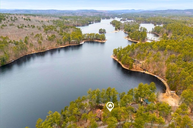 48 Green Bay Rd, Newfield, ME 04095 - aerial view of property and surrounding area with a heavily wooded area and a water and mountain view