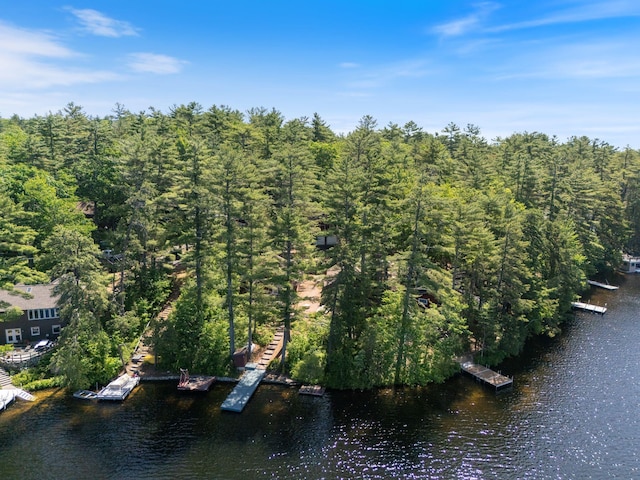 48 Green Bay Rd, Newfield, ME 04095 - aerial view of property and surrounding area featuring a nearby body of water and a heavily wooded area