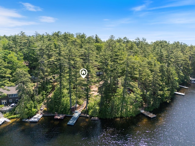 48 Green Bay Rd, Newfield, ME 04095 - aerial overview of property's location featuring a large body of water and a heavily wooded area