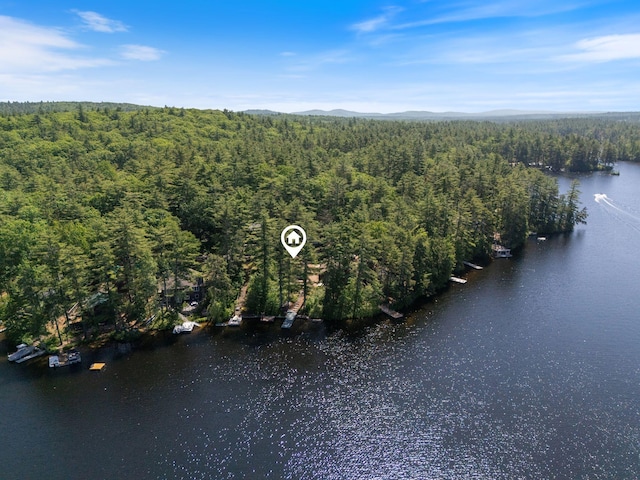 48 Green Bay Rd, Newfield, ME 04095 - aerial view of property's location with a heavily wooded area and a water and mountain view