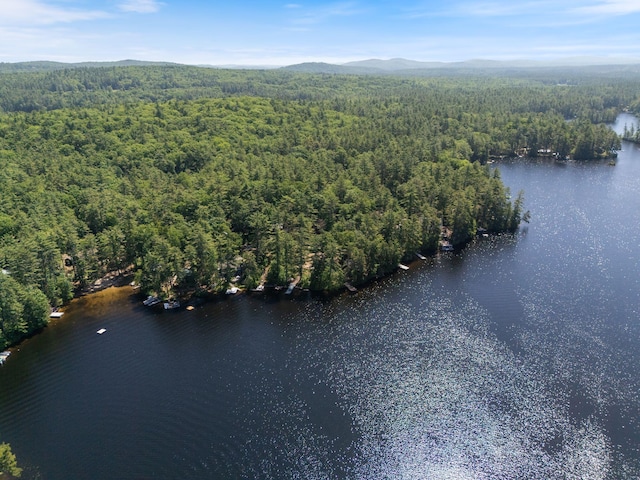 48 Green Bay Rd, Newfield, ME 04095 - aerial view of a water and mountain view