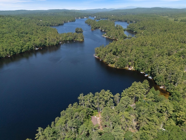48 Green Bay Rd, Newfield, ME 04095 - aerial overview of property's location with a heavily wooded area and a water and mountain view