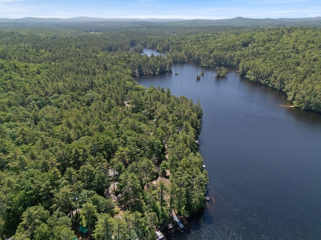 48 Green Bay Rd, Newfield, ME 04095 - drone / aerial view of a heavily wooded area and a water and mountain view