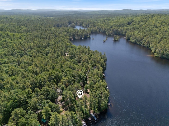 48 Green Bay Rd, Newfield, ME 04095 - drone / aerial view of a heavily wooded area and a water and mountain view