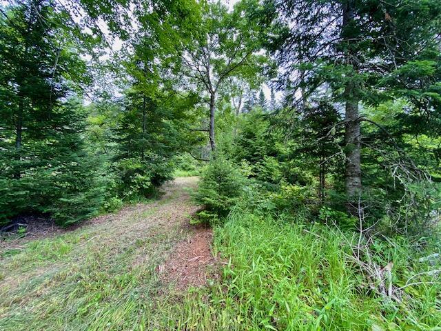 00 Pratt Rd, Parsonsfield, ME 04047 - photo 8