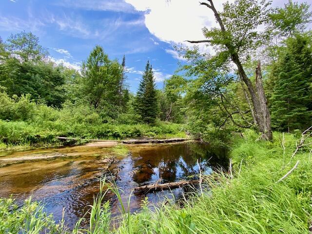 00 Pratt Rd, Parsonsfield, ME 04047 - photo 9
