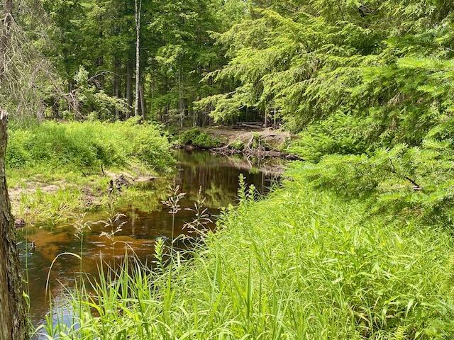 00 Pratt Rd, Parsonsfield, ME 04047 - photo 10