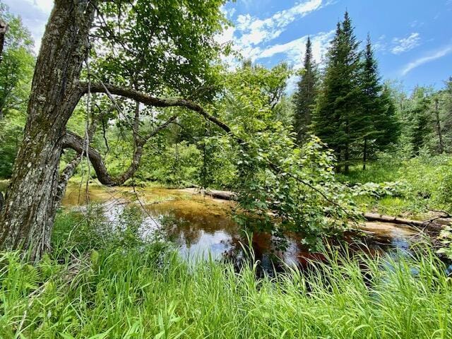 00 Pratt Rd, Parsonsfield, ME 04047 - photo 11