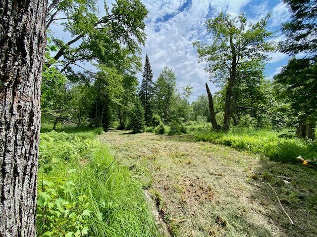 00 Pratt Rd, Parsonsfield, ME 04047 - photo 5