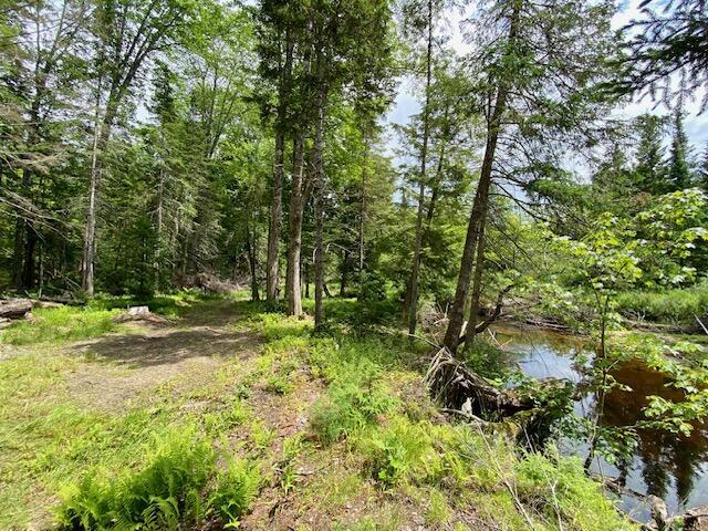 00 Pratt Rd, Parsonsfield, ME 04047 - photo 12