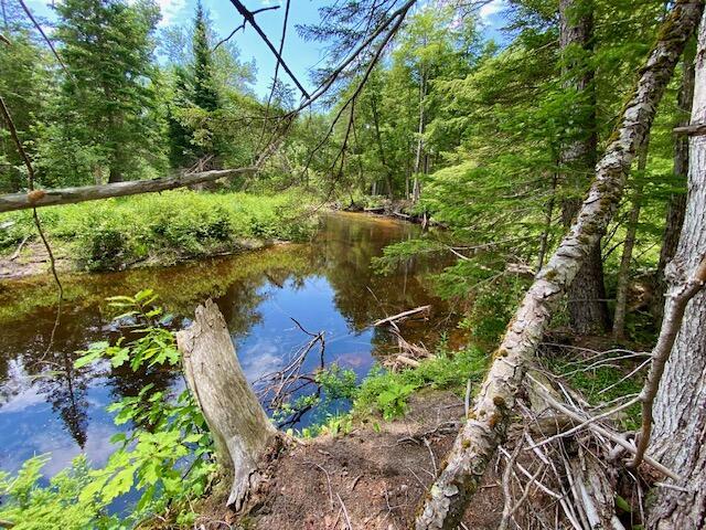 00 Pratt Rd, Parsonsfield, ME 04047 - photo 13