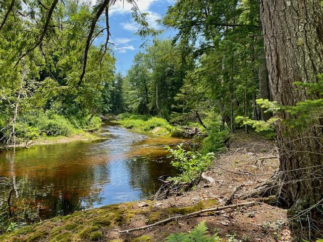 00 Pratt Rd, Parsonsfield, ME 04047 - photo 4