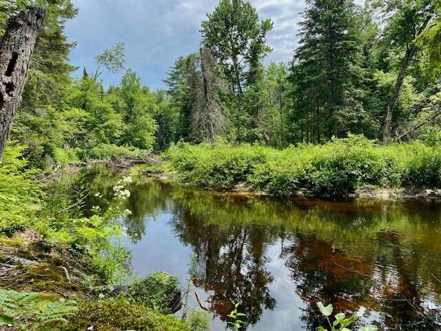 00 Pratt Rd, Parsonsfield, ME 04047 - photo 14