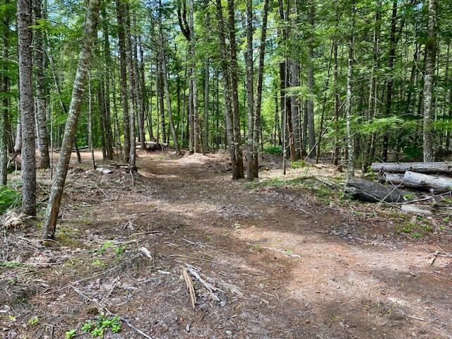 00 Pratt Rd, Parsonsfield, ME 04047 - photo 7