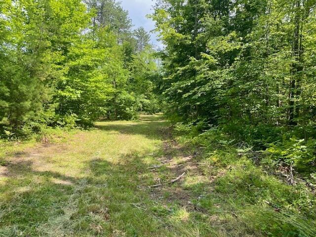 00 Pratt Rd, Parsonsfield, ME 04047 - photo 6