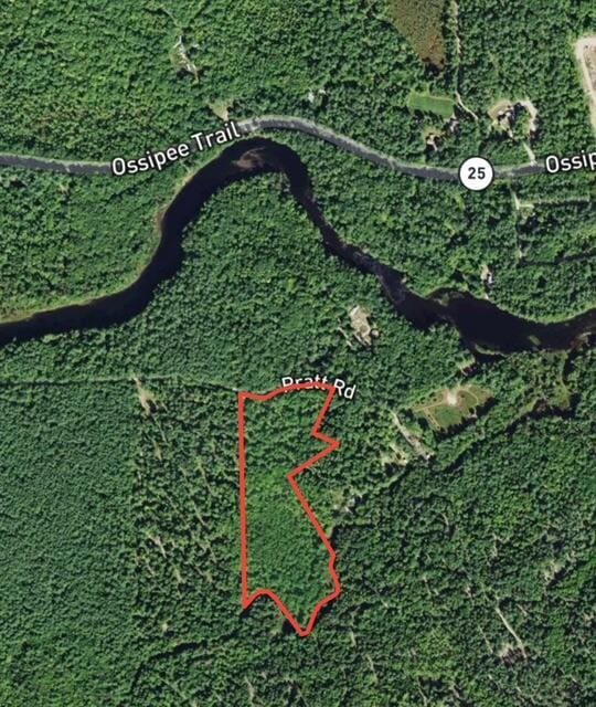 00 Pratt Rd, Parsonsfield, ME 04047 - photo 3