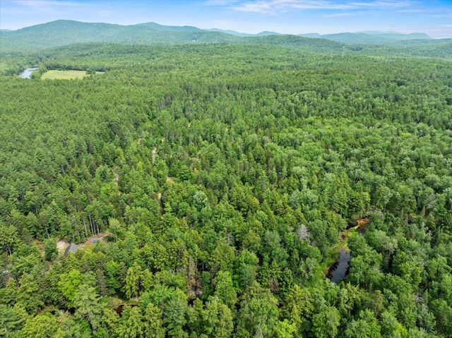 00 Pratt Rd, Parsonsfield, ME 04047 - photo 15