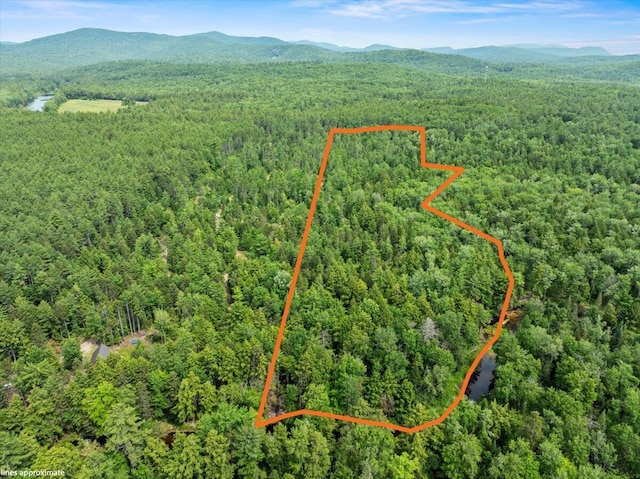00 Pratt Rd, Parsonsfield, ME 04047 - photo 1