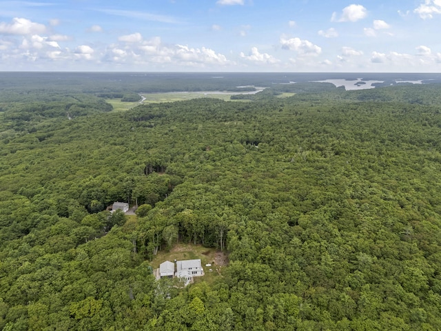 75 Henry Rd, Georgetown, ME 04548 - photo 73