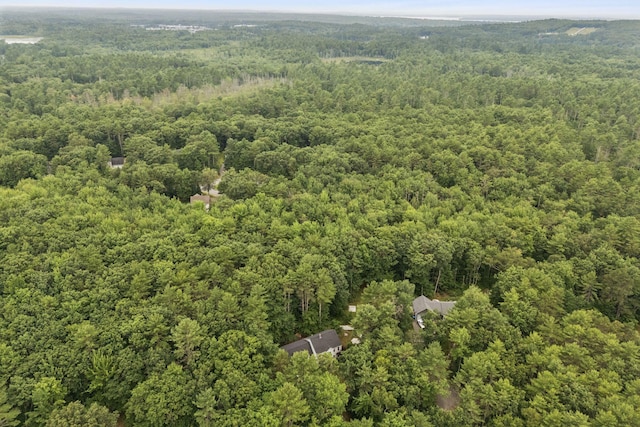 20 Cameron Ln, Windham, ME 04062 - photo 50