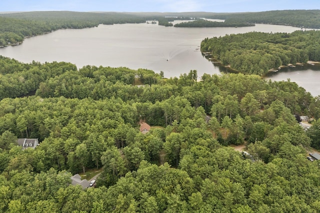 20 Cameron Ln, Windham, ME 04062 - photo 6