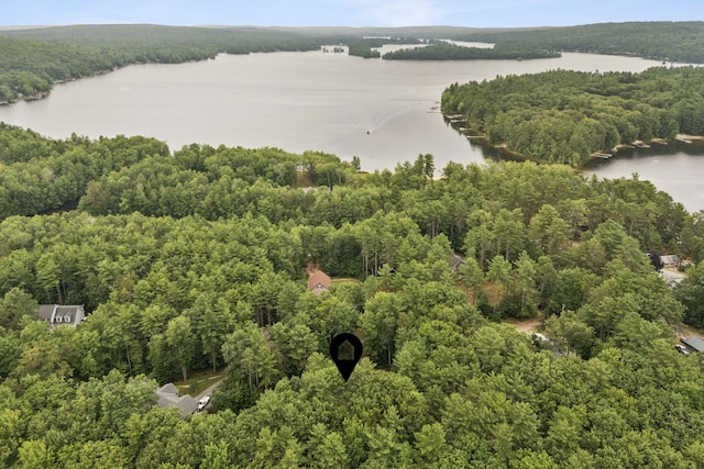 20 Cameron Ln, Windham, ME 04062 - photo 54