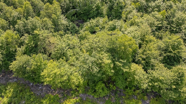 M6L9-A34 Russell Rd, Brownville, ME 04414 - photo 3