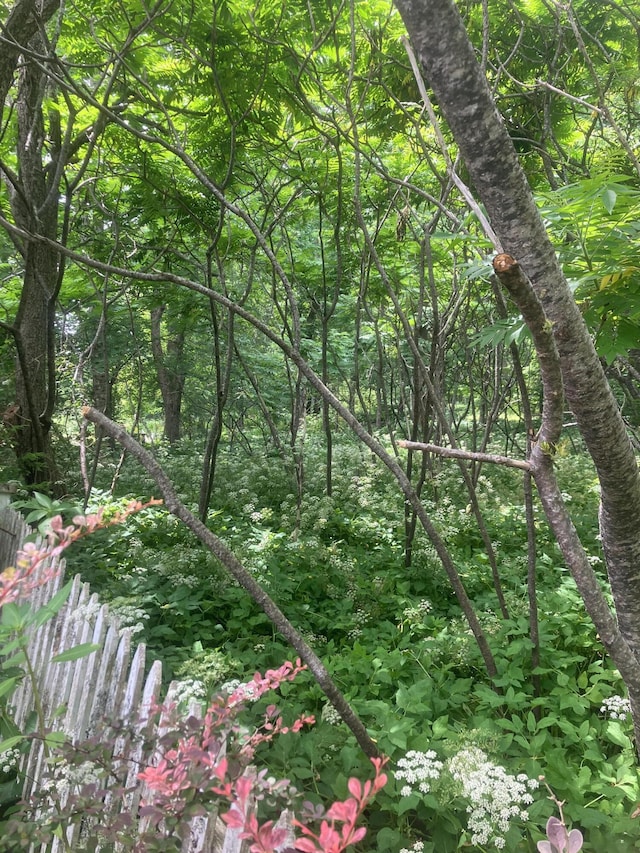 69 W Meadow Rd, Rockland, ME 04841 - view of wooded area
