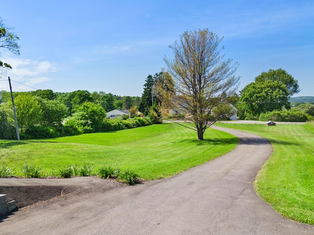 63 N Shore Dr, Owls Head, ME 04854 - view of community featuring a yard