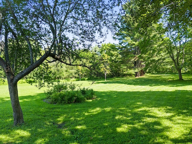 63 N Shore Dr, Owls Head, ME 04854 - view of grassy yard