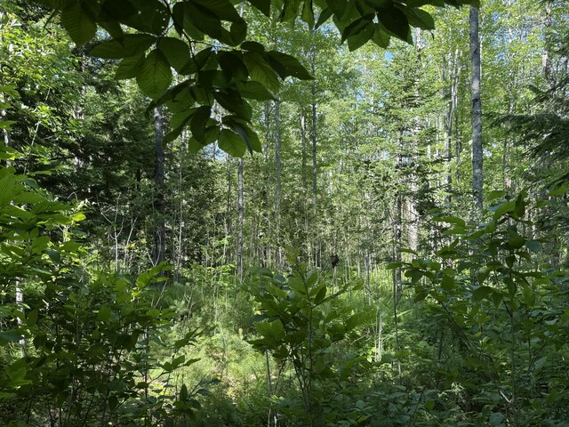 LOT18 Kimball Rd, Bridgton, ME 04009 - photo 4