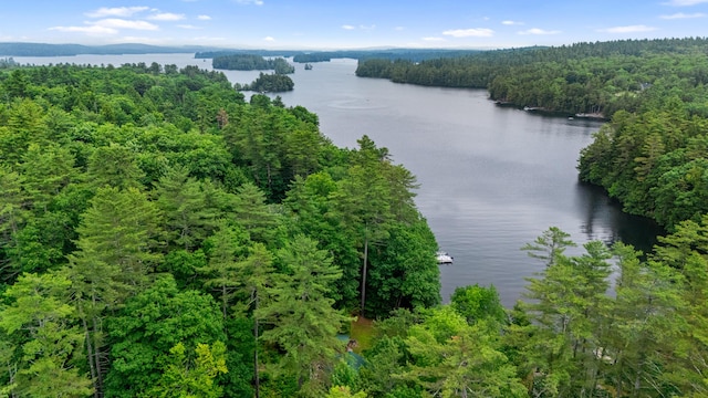 199 Peace Pipe Dr, Litchfield, ME 04350 - aerial view of a nearby body of water