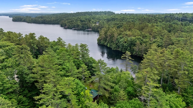 199 Peace Pipe Dr, Litchfield, ME 04350 - aerial view of a heavily wooded area and a nearby body of water