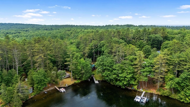 199 Peace Pipe Dr, Litchfield, ME 04350 - aerial view of property and surrounding area with a nearby body of water