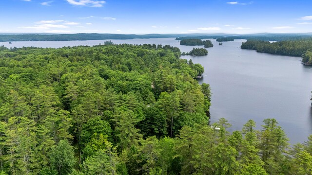 199 Peace Pipe Dr, Litchfield, ME 04350 - drone / aerial view of a nearby body of water and a forest