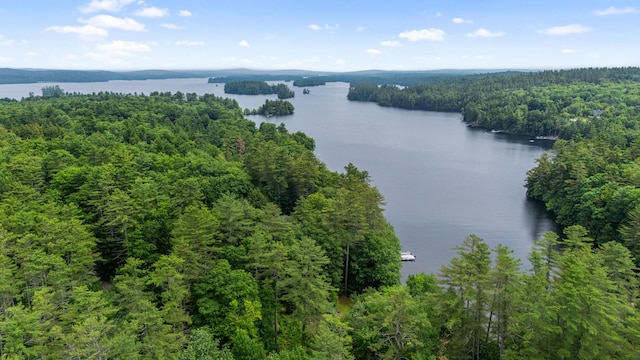 199 Peace Pipe Dr, Litchfield, ME 04350 - drone / aerial view of a forest and a large body of water