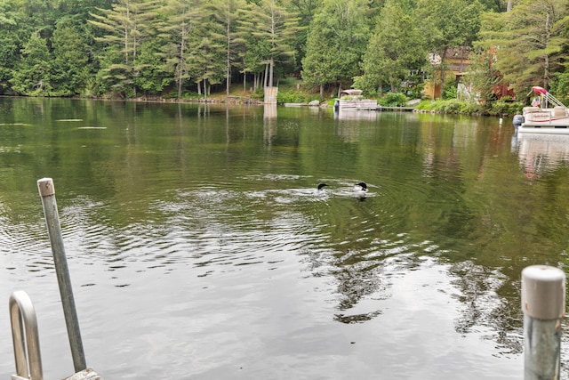 199 Peace Pipe Dr, Litchfield, ME 04350 - water view featuring a heavily wooded area