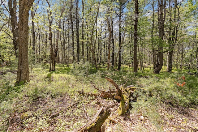17-1 Bald Head Rd, Arrowsic, ME 04548 - photo 12