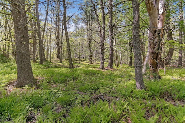 17-1 Bald Head Rd, Arrowsic, ME 04548 - photo 11