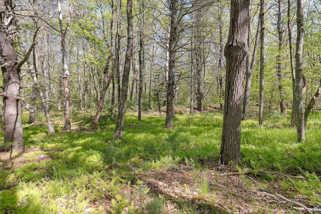 17-1 Bald Head Rd, Arrowsic, ME 04548 - photo 10