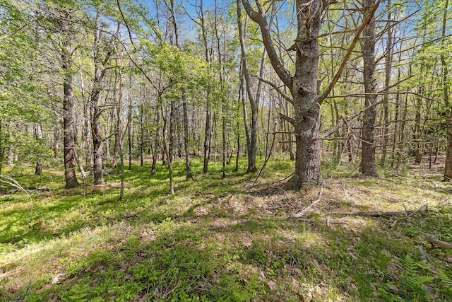 17-1 Bald Head Rd, Arrowsic, ME 04548 - photo 13
