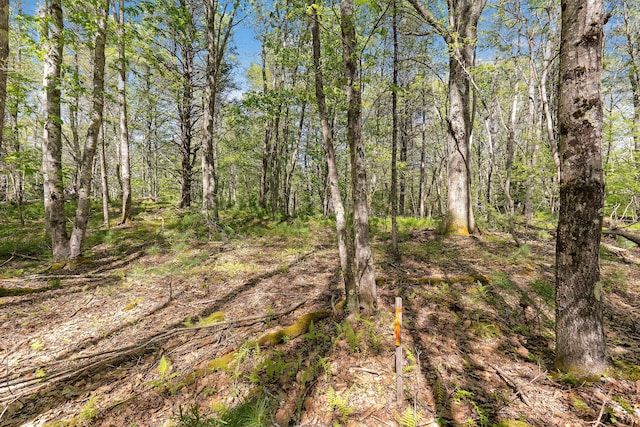17-1 Bald Head Rd, Arrowsic, ME 04548 - photo 14