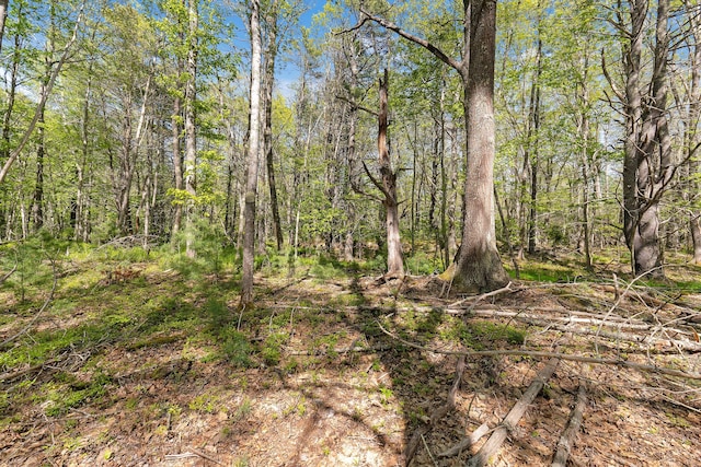17-1 Bald Head Rd, Arrowsic, ME 04548 - photo 15